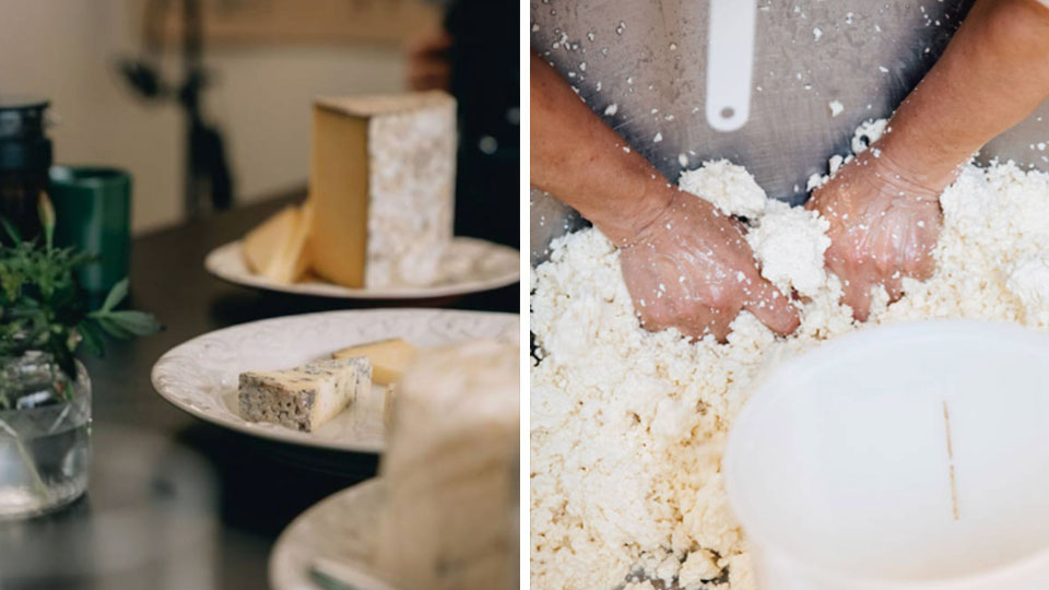 Ostprovning hos Ostmakeriet i Stockholm med rundtur och fem olika ostar